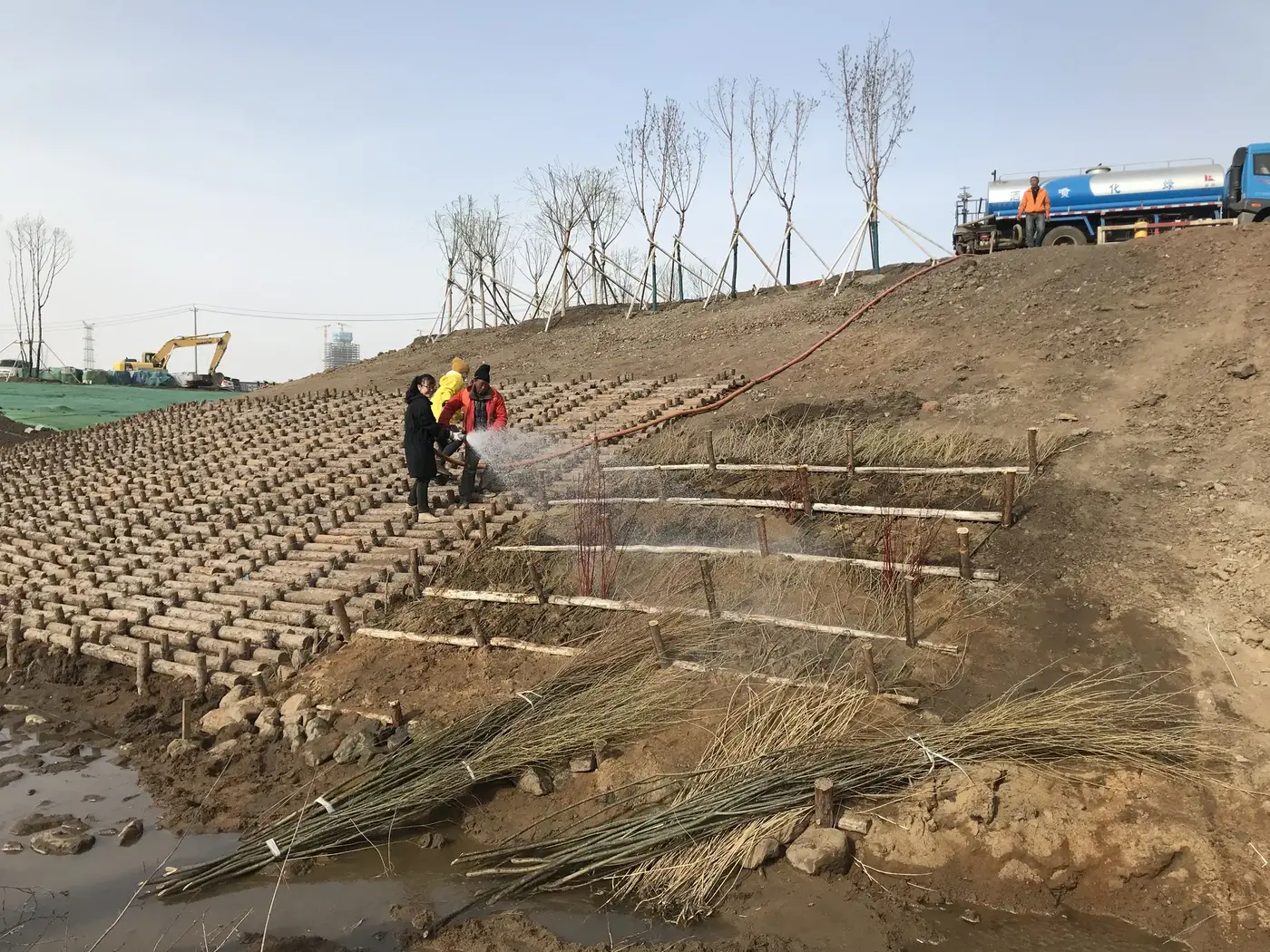 Arbeiter bewässern frisch eingebaute Weiden-Buschlagen und Krainerwand-Terrassen an einem im Bau befindlichen Flussufer.