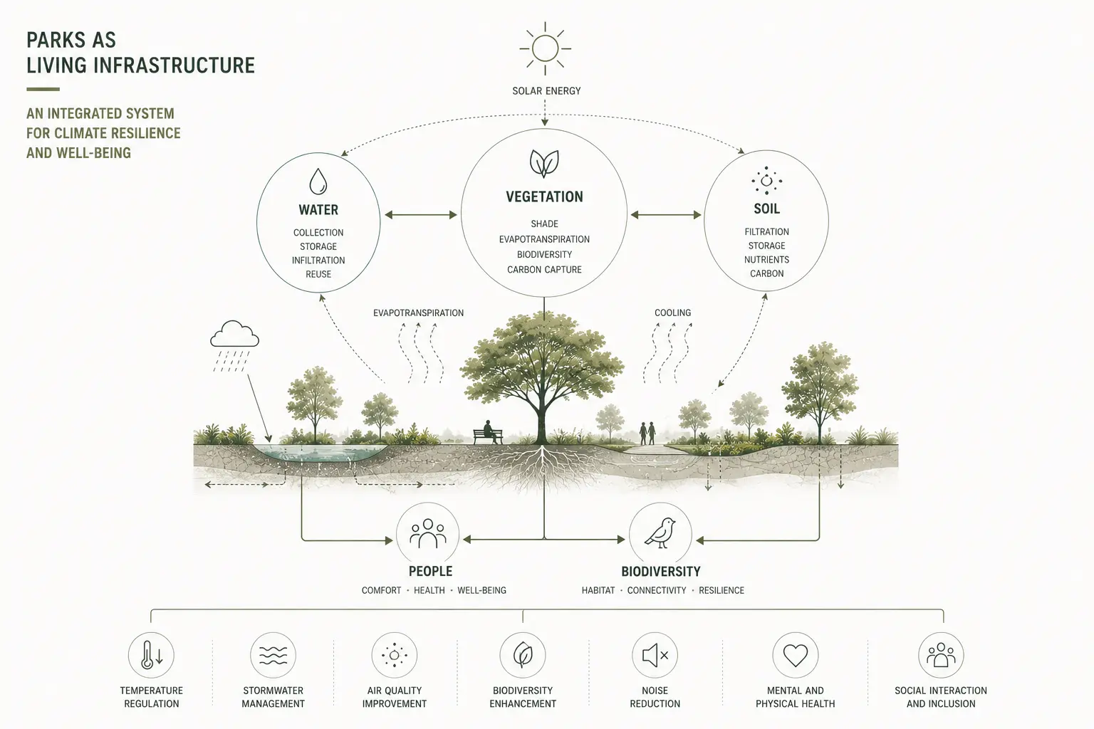 System diagram connecting water, vegetation and soil with people and biodiversity above a sectional park drawing.