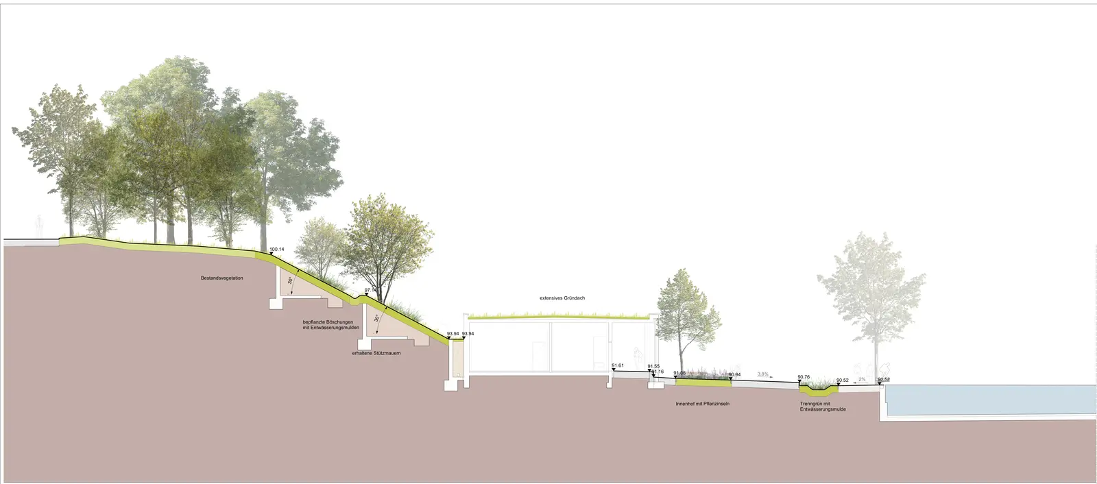 Landscape section of a wooded slope descending over retaining walls to a building with extensive green roof, planted courtyard and pool edge.