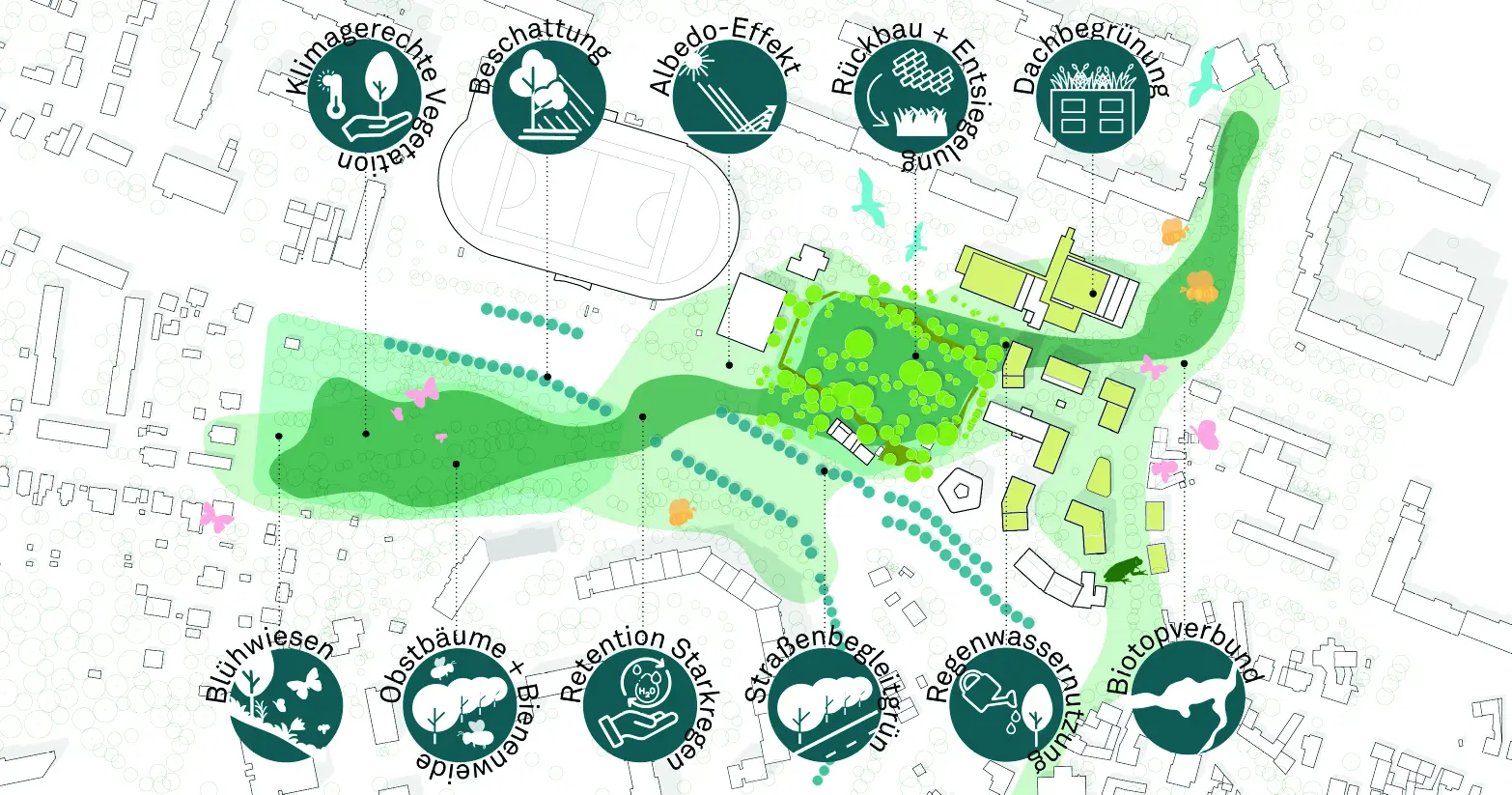 Diagram of the green corridor annotated with icons for climate adaptation and biodiversity measures.