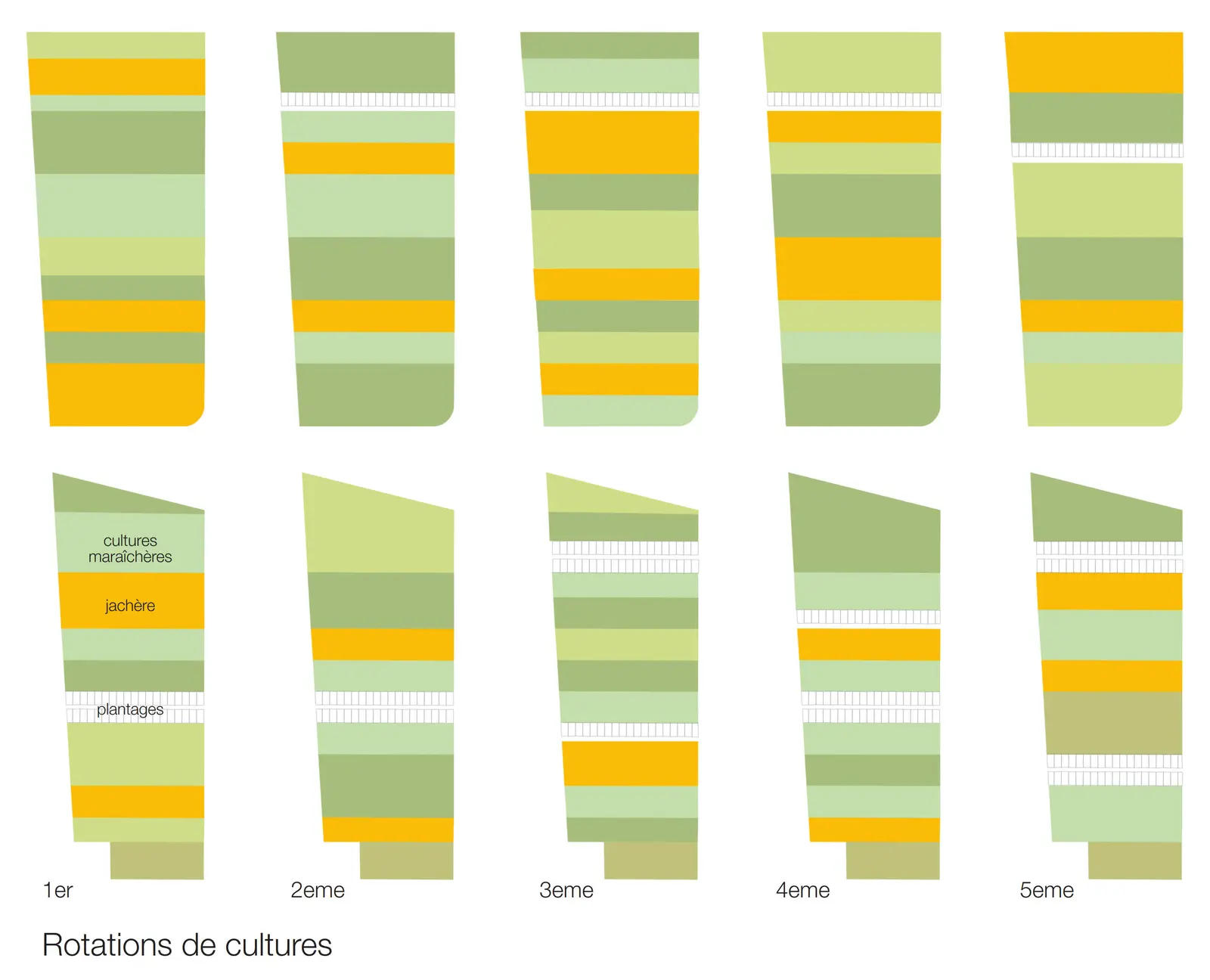 Diagramme de dix parcelles en cinq étapes de rotation, colorées en vert et jaune pour le maraîchage, la jachère et les plantations.