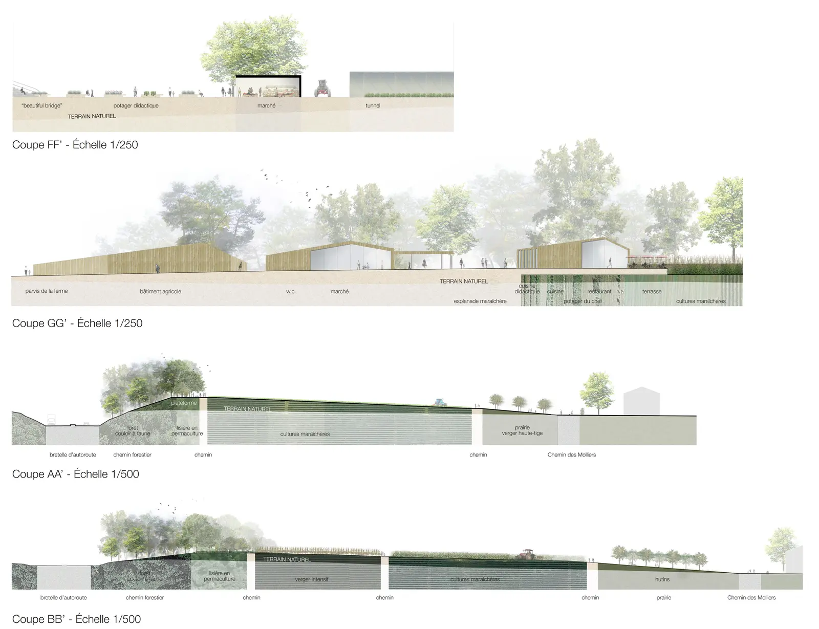 Quatre coupes du parc montrant le marché avec les jardins didactiques, des bâtiments agricoles en bois parmi les arbres et des talus boisés entre routes et bandes cultivées.