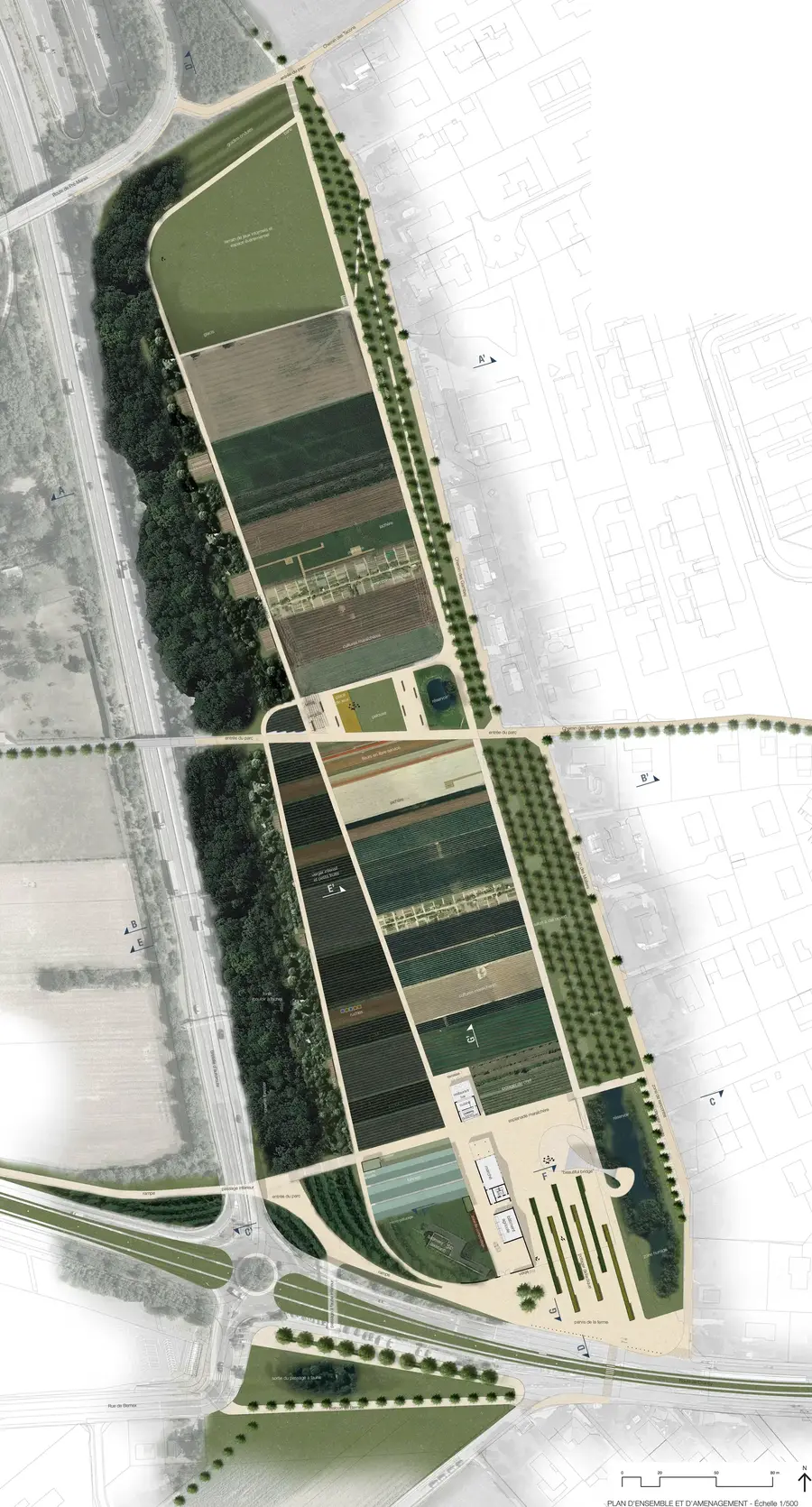 Plan d'ensemble rendu du parc allongé, avec bandes cultivées, trames de vergers, corridor boisé le long de l'autoroute et bâtiments de ferme au sud.