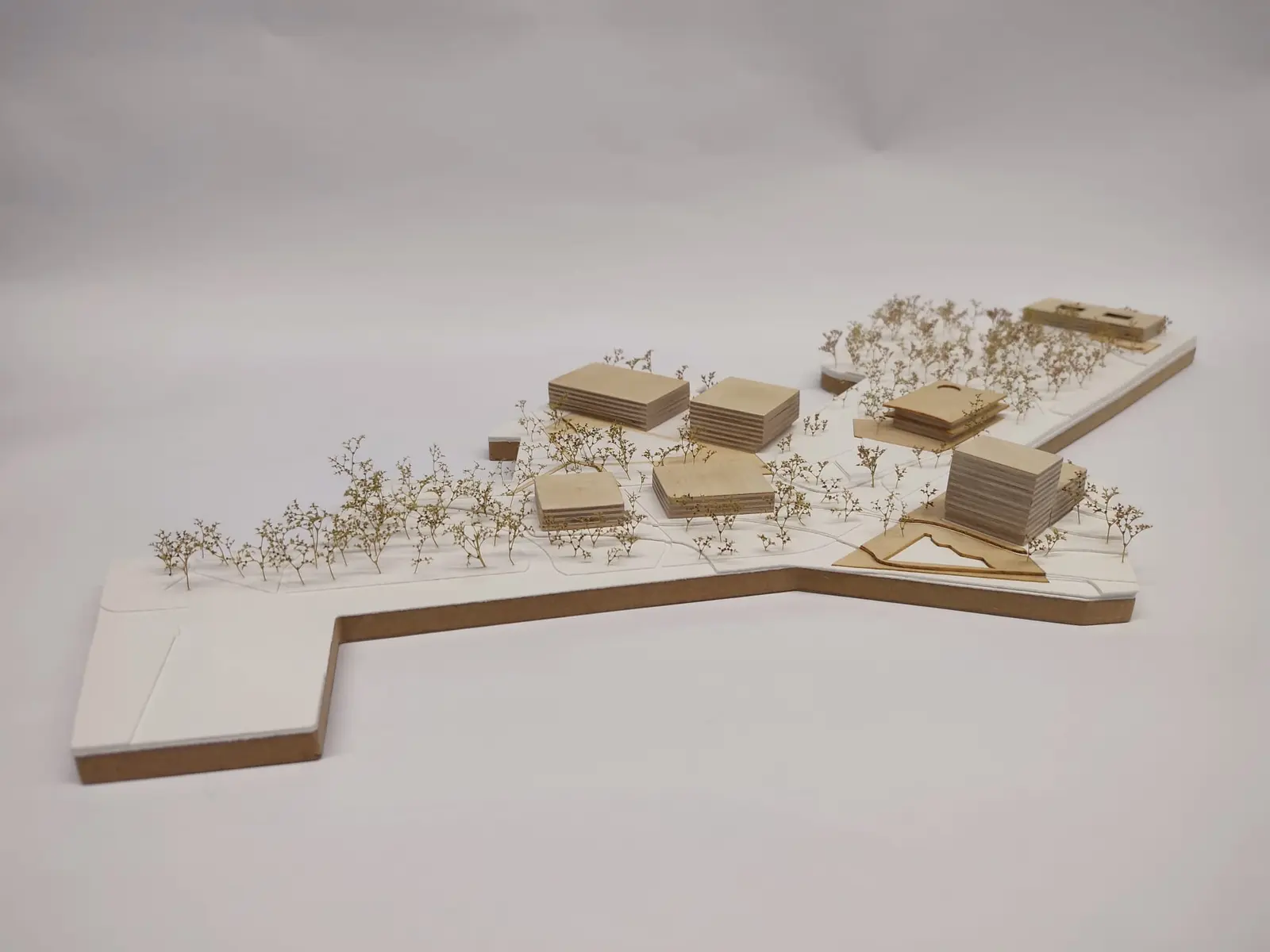 Wooden site model with layered building volumes and dried plants standing in for trees on a white base.