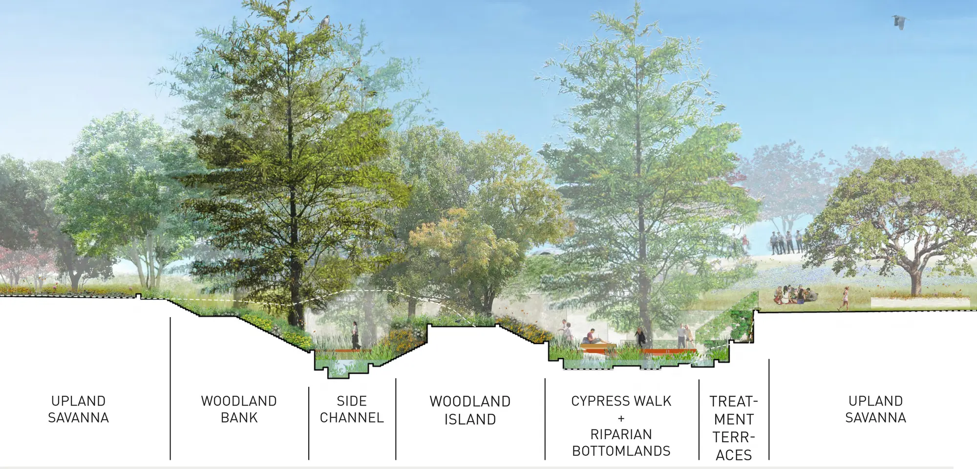 Sectional drawing of the creek corridor with labelled zones: upland savanna, woodland bank, side channel, woodland island, Cypress Walk with riparian bottomlands and treatment terraces.