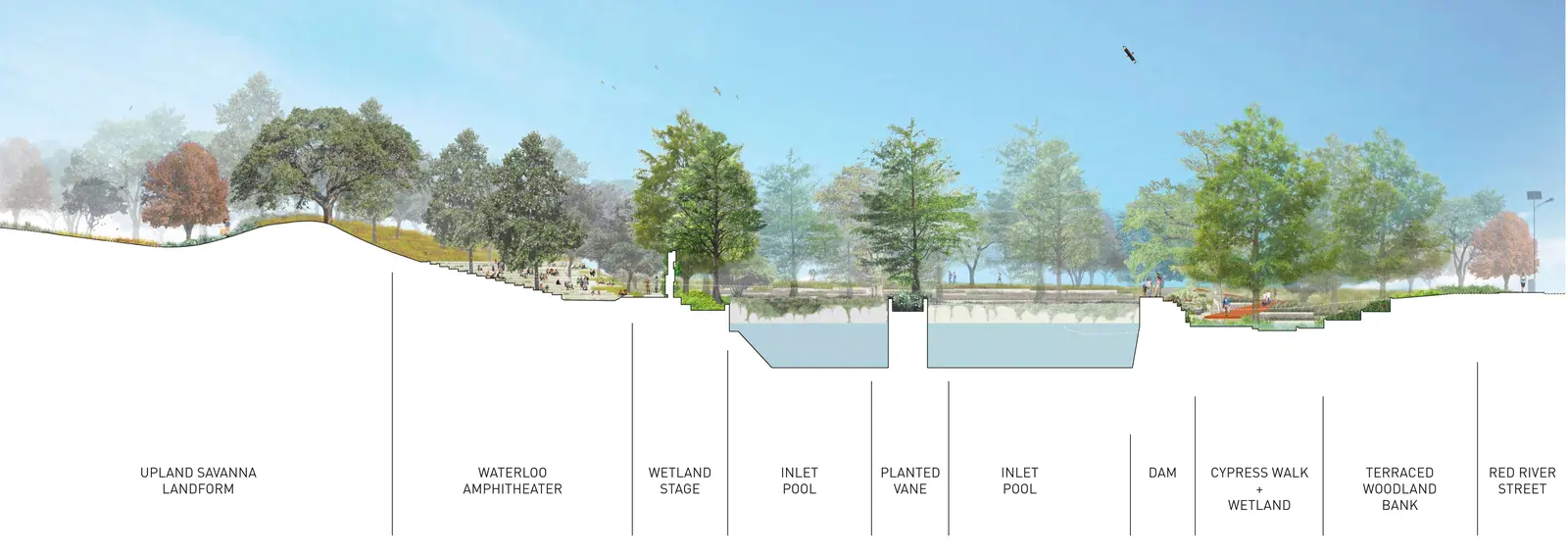 Long sectional drawing of a park with an amphitheatre lawn, wetland stage, two water pools and tree-lined banks.