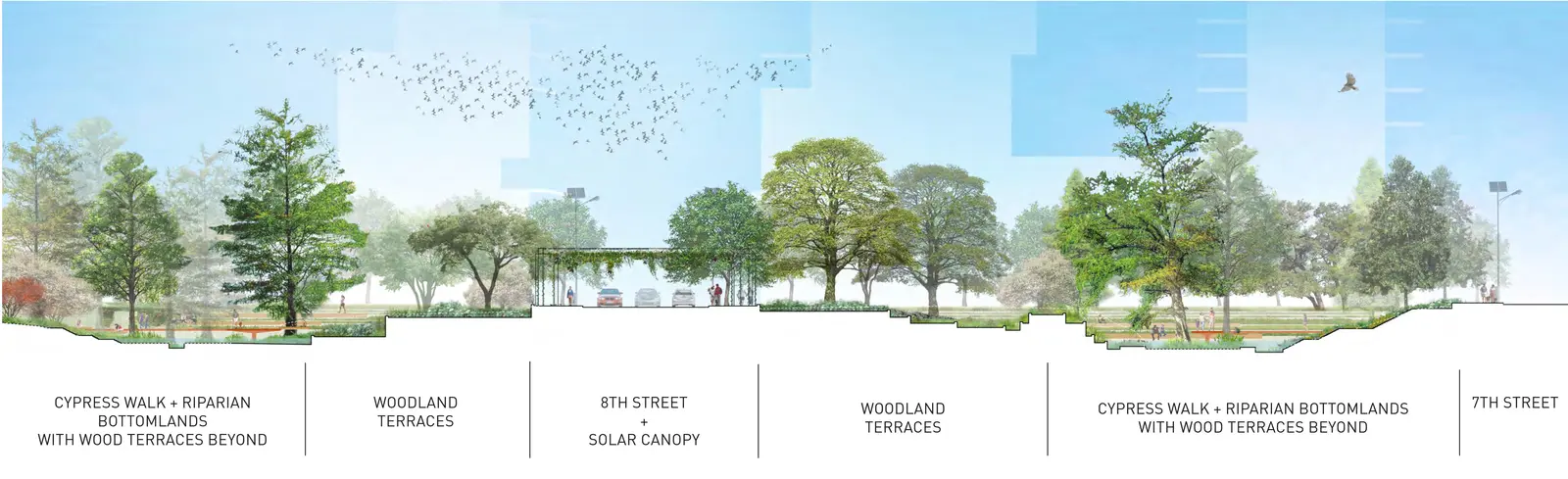 Long sectional drawing of tree terraces along the creek with a slender canopy structure over a street crossing.