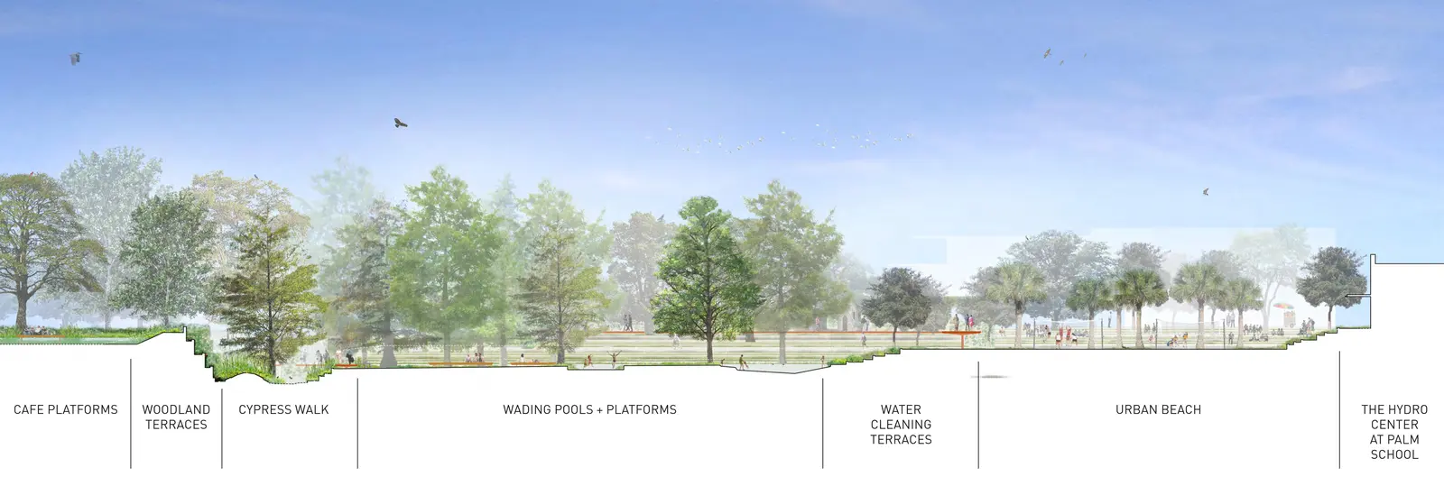 Long sectional drawing of shallow wading pools under trees, terraces and a palm-lined urban beach.