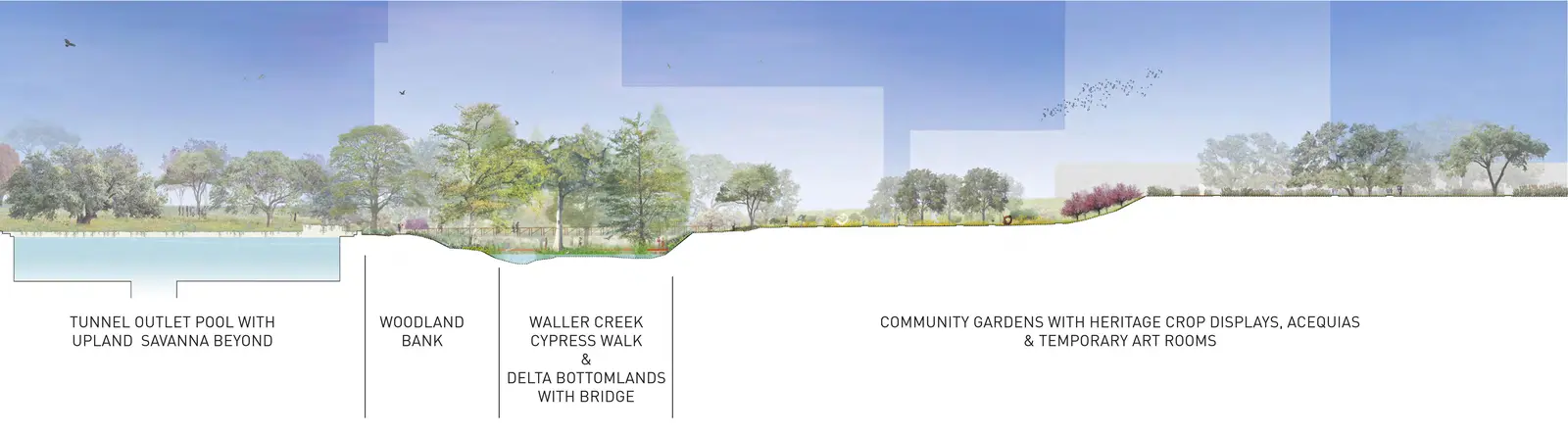Wide sectional drawing with a water basin, a wooded creek crossing and a long stretch of community gardens.